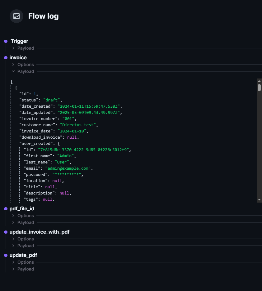 Directus Flow logs